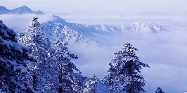 西岭雪山.jpg